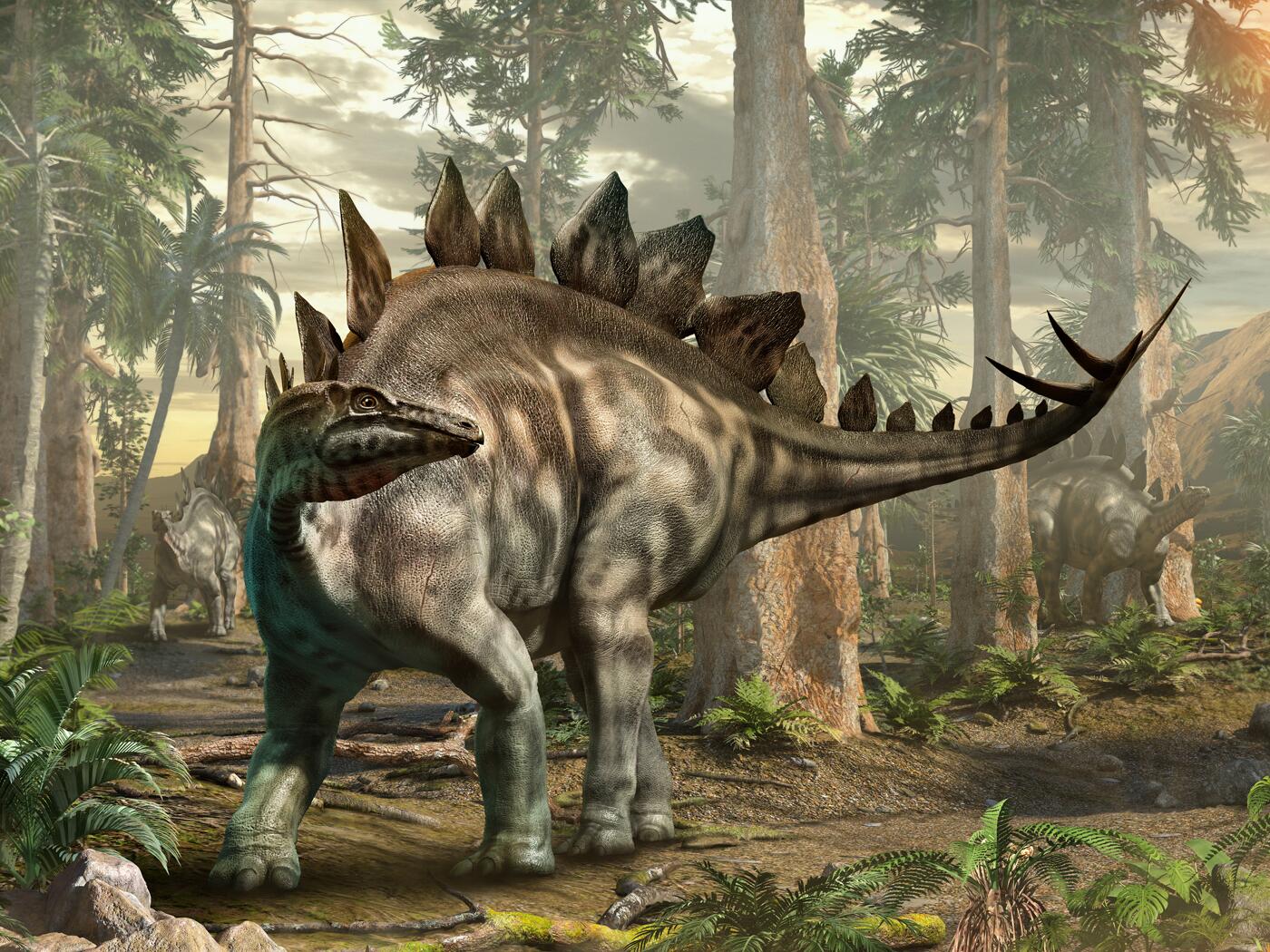 A rendering of a Stegosaurus in a forest